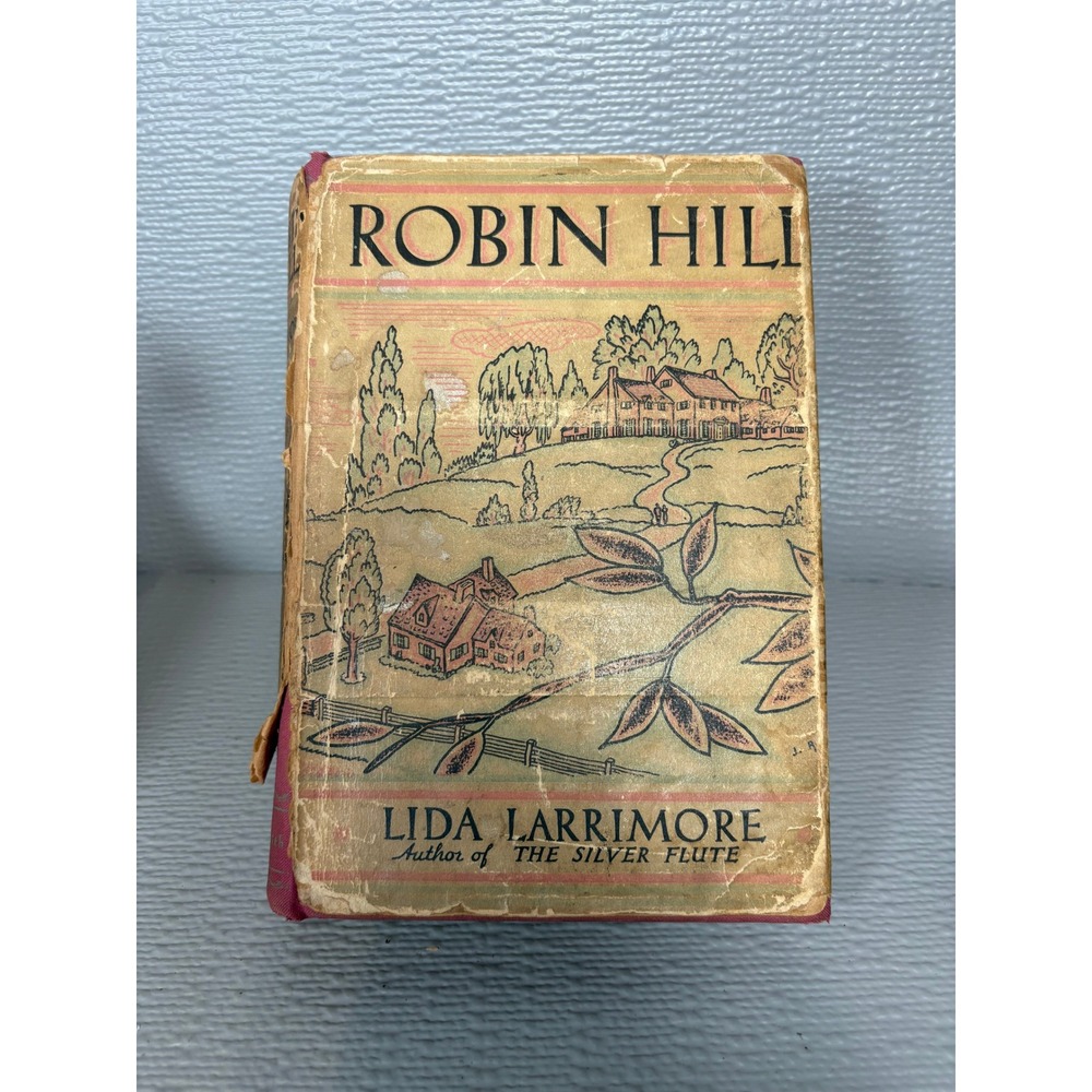 1932 Robin Hill‎ Lida Larrimore First Edition Hardcover Dust Jacket Macrae Smith